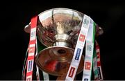 21 July 2013; A view of the Nestor Cup. Connacht GAA Football Senior Championship Final, Mayo v London, Elverys MacHale Park, Castlebar, Co. Mayo. Picture credit: Stephen McCarthy / SPORTSFILE
