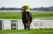 14 October 2021; Sissoko, with Gavin Ryan up, on their way to winning the Friarstown Stud Irish EBF Maiden at The Curragh Racecourse in Kildare. Photo by Harry Murphy/Sportsfile