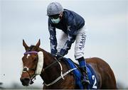 14 October 2021; Gatsby Cap, with Scott McCullagh up, during the Taxi4horses.com Handicap at The Curragh Racecourse in Kildare. Photo by Harry Murphy/Sportsfile