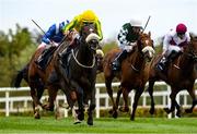 16 October 2021; Georgeville, with Colin Keane up, on the way to winning The Manguard Plus Trigo Stakes at Leopardstown Racecourse. Photo by Matt Browne/Sportsfile