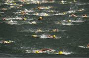 23 October 2021; A general view of the field as they compete in the 101st Jones Engineering Dublin City Liffey Swim which travelled up-river for the first time in the swim’s history. Photo by Ray McManus/Sportsfile