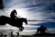 29 October 2021; Golden Cosmos, with Jamie Hayes up, jumps the last during the Irish Stallion Farms EBF Maiden Hurdle on day one of the Ladbrokes Festival of Racing at Down Royal in Lisburn, Down. Photo by Ramsey Cardy/Sportsfile