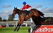 30 October 2021; Envoi Allen, with Rachael Blackmore up, on their way to winning the Join Racing TV Chase on day two of the Ladbrokes Festival of Racing at Down Royal in Lisburn, Down. Photo by Ramsey Cardy/Sportsfile