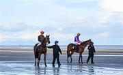 1 November 2021; Morning Dew, with Joey Sheridan up, left, and Thaleeq, with Dylan Browne McMonagle up, before the Pride Of Place Maiden at the Laytown Strand Races in Laytown, Co Meath. Photo by Ramsey Cardy/Sportsfile