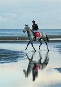 1 November 2021; Mary Salome, with JC Barry up, after the O'Neills Sports Handicap at the Laytown Strand Races in Laytown, Co Meath. Photo by Ramsey Cardy/Sportsfile