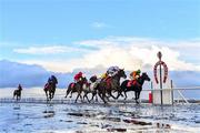 1 November 2021; Oh Purple Reign, with Jamie Codd up, on their way to winning the O'Neills Sports Handicap at the Laytown Strand Races in Laytown, Co Meath. Photo by Ramsey Cardy/Sportsfile