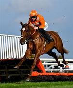 29 October 2021; Annie G, with Rachael Blackmore up, on day one of the Ladbrokes Festival of Racing at Down Royal in Lisburn, Down. Photo by Ramsey Cardy/Sportsfile