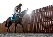 29 October 2021; Cask Mate, with Sean Flanagan up, on day one of the Ladbrokes Festival of Racing at Down Royal in Lisburn, Down. Photo by Ramsey Cardy/Sportsfile