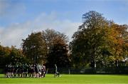 3 November 2021; The Ireland team huddle during rugby squad training at Carton House in Maynooth, Kildare. Photo by Brendan Moran/Sportsfile