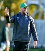 3 November 2021; Assistant coach Mike Catt during Ireland rugby squad training at Carton House in Maynooth, Kildare. Photo by Brendan Moran/Sportsfile