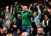 13 November 2021; Ireland supporters celebrate their side's first try during the Autumn Nations Series match between Ireland and New Zealand at Aviva Stadium in Dublin. Photo by David Fitzgerald/Sportsfile