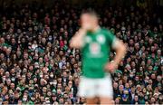 13 November 2021; Supporters during the Autumn Nations Series match between Ireland and New Zealand at Aviva Stadium in Dublin. Photo by Ramsey Cardy/Sportsfile