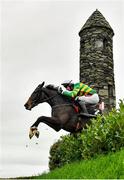 14 November 2021; Shady Operator, with Derek O'Connor up, jumps the Glendalough Drop Hedge on their way to winning the Pigsback.com Risk Of Thunder Steeplechase during day two of the Punchestown Winter Festival at Punchestown Racecourse in Kildare. Photo by Seb Daly/Sportsfile