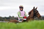 14 November 2021; Jockey Keith Donoghue and Call It Magic inspect Ruby's Double before the Pigsback.com Risk Of Thunder Steeplechase during day two of the Punchestown Winter Festival at Punchestown Racecourse in Kildare. Photo by Seb Daly/Sportsfile