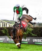 14 November 2021; Ballyshannon Rose and jockey Donal McInerney fall at the last during the Liam & Valerie Brennan Florida Pearl Novice Steeplechase on day two of the Punchestown Winter Festival at Punchestown Racecourse in Kildare. Photo by Seb Daly/Sportsfile