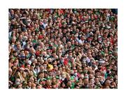 11 September 2021; It’s tense, it’s tight and it’s deadly serious. And that’s just in the stands. Judging by these anxious faces among the 41,150 final-day attendance, following a close, exciting match is not everyone’s idea of relaxation. Nor is a yearning for success after 70 years of heartbreak. Photo by Ramsey Cardy/Sportsfile This image may be reproduced free of charge when used in conjunction with a review of the book &quot;A Season of Sundays 2020&quot;. All other usage © Sportsfile