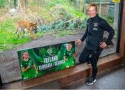 18 November 2021; Vera Pauw on a visit to the Tiger compound at Dublin Zoo to promote the Republic of Ireland women's upcoming FIFA Women's World Cup qualifiers against Slovakia and Georgia at Tallaght Stadium. Photo by Stephen McCarthy/Sportsfile