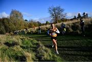 21 November 2021; Michelle Finn of Leevale AC, Cork, on her way to winning the Senior Women's event during the Irish Life Health National Cross Country Championships at Santry Demense in Dublin. Photo by Ramsey Cardy/Sportsfile