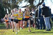21 November 2021; Aoife McGreevy of UCD AC, Dublin, left, and Jane Buckley of Leevale AC, Cork, competing in the Junior Women's event during the Irish Life Health National Cross Country Championships at Santry Demense in Dublin. Photo by Ramsey Cardy/Sportsfile