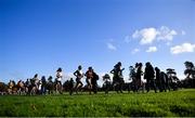 21 November 2021; A general view of action during the Girls U16 event during the Irish Life Health National Cross Country Championships at Santry Demense in Dublin. Photo by Ramsey Cardy/Sportsfile