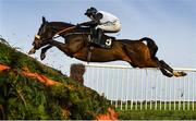 25 November 2021; Soviet Pimpernel, with Darragh O'Keeffe up, jumps the last during the BetVictor Beginners Steeplechase at Thurles Racecourse in Tipperary. Photo by Seb Daly/Sportsfile