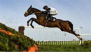 25 November 2021; Soviet Pimpernel, with Darragh O'Keeffe up, jumps the last during the BetVictor Beginners Steeplechase at Thurles Racecourse in Tipperary. Photo by Seb Daly/Sportsfile