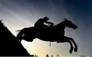 25 November 2021; Ciel De Neige, with Mark Walsh up, jumps the last on their way to winning the BetVictor Beginners Steeplechase at Thurles Racecourse in Tipperary. Photo by Seb Daly/Sportsfile