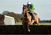 25 November 2021; Ciel De Neige, with Mark Walsh up, jumps the last on their way to winning the BetVictor Beginners Steeplechase at Thurles Racecourse in Tipperary. Photo by Seb Daly/Sportsfile