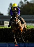 25 November 2021; Cilaos Emery, with Brian Hayes up, jumps the last on their way to winning the BetVictor Steeplechase at Thurles Racecourse in Tipperary. Photo by Seb Daly/Sportsfile