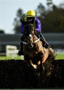 25 November 2021; Cilaos Emery, with Brian Hayes up, jumps the last on their way to winning the BetVictor Steeplechase at Thurles Racecourse in Tipperary. Photo by Seb Daly/Sportsfile