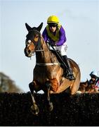 25 November 2021; Cilaos Emery, with Brian Hayes up, jumps the last during the second circuit on their way to winning the BetVictor Steeplechase at Thurles Racecourse in Tipperary. Photo by Seb Daly/Sportsfile