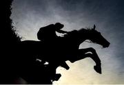 25 November 2021; Bellgrove, with Darragh O'Keeffe up, jumps the last during the Racing TV Handicap Steeplechase at Thurles Racecourse in Tipperary. Photo by Seb Daly/Sportsfile