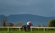 25 November 2021; Jockey Davy Russell and mount Vina Ardanza go to post ahead of the Thurles Maiden Hurdle at Thurles Racecourse in Tipperary. Photo by Seb Daly/Sportsfile