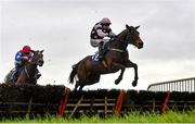 25 November 2021; Braganza, with Sean O'Keeffe up, jumps the last on their way to winning the BetVictor Irish EBF Mares Maiden Hurdle at Thurles Racecourse in Tipperary. Photo by Seb Daly/Sportsfile