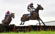 25 November 2021; Braganza, right, with Sean O'Keeffe up, jumps the last on their way to winning the BetVictor Irish EBF Mares Maiden Hurdle at Thurles Racecourse in Tipperary. Photo by Seb Daly/Sportsfile