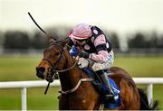 25 November 2021; Braganza, with Sean O'Keeffe up, jumps the last on their way to winning the BetVictor Irish EBF Mares Maiden Hurdle at Thurles Racecourse in Tipperary. Photo by Seb Daly/Sportsfile