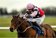 25 November 2021; Braganza, with Sean O'Keeffe up, jumps the last on their way to winning the BetVictor Irish EBF Mares Maiden Hurdle at Thurles Racecourse in Tipperary. Photo by Seb Daly/Sportsfile