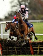 25 November 2021; Braganza, with Sean O'Keeffe up, jumps the last on their way to winning the BetVictor Irish EBF Mares Maiden Hurdle at Thurles Racecourse in Tipperary. Photo by Seb Daly/Sportsfile