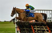 25 November 2021; Clifton Warrior, with Rachael Blackmore up, jumps the last on their way to winning the BetVictor Maiden Hurdle at Thurles Racecourse in Tipperary. Photo by Seb Daly/Sportsfile