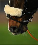 25 November 2021; A detailed view of a mouth bit and bridle at Thurles Racecourse in Tipperary. Photo by Seb Daly/Sportsfile