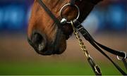 25 November 2021; A detailed view of a mouth bit and bridle at Thurles Racecourse in Tipperary. Photo by Seb Daly/Sportsfile