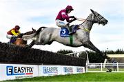 27 November 2021; Lieutenant Command, with Bryan Cooper up, jumps the last on their way to winning the Jim Ryan Racecourse Services Beginners Steeplechase on day one of the Fairyhouse Winter Festival at Fairyhouse Racecourse in Ratoath, Meath. Photo by Seb Daly/Sportsfile