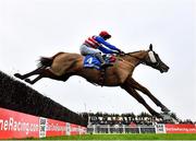 28 November 2021; Alohamora, with Gavin Brouder up, jumps the last on their way to winning the Bar One Racing Irish EBF Mares Handicap Steeplechase on day two of the Fairyhouse Winter Festival at Fairyhouse Racecourse in Ratoath, Meath. Photo by David Fitzgerald/Sportsfile