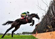 28 November 2021; Sevenal, with Dylan Hogan up, jump the last during the Bar One Racing Juvenile Hurdle on day two of the Fairyhouse Winter Festival at Fairyhouse Racecourse in Ratoath, Meath. Photo by David Fitzgerald/Sportsfile