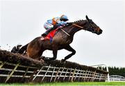 28 November 2021; My Mate Mozzie, with Darragh O'Keeffe up, jumps the last on their way to finishing second in the BARONERACING.COM Royal Bond Novice Hurdle on day two of the Fairyhouse Winter Festival at Fairyhouse Racecourse in Ratoath, Meath. Photo by David Fitzgerald/Sportsfile
