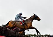 28 November 2021; Smoking Gun, with Denis O'Regan up, jumps the last on their way to winning the BARONERACING.COM Porterstown Handicap Steeplechase on day two of the Fairyhouse Winter Festival at Fairyhouse Racecourse in Ratoath, Meath. Photo by David Fitzgerald/Sportsfile