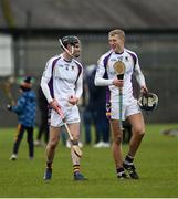 28 November 2021; Jamie Clinton, left, and Brian Sheehy of Kilmacud Crokes after the 2021 AIB Leinster Club Senior Hurling Championship Quarter-Final match between Raharney Hurling Club and Kilmacud Crokes at TEG Cusack Park in Mullingar, Westmeath. Photo by Daire Brennan/Sportsfile