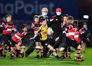 27 November 2021; Action from the Bank of Ireland Half-Time Minis between Ashbourne RFC and Wicklow RFC at the United Rugby Championship match between Leinster and Ulster at the RDS Arena in Dublin. Photo by David Fitzgerald/Sportsfile