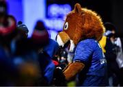27 November 2021; Leinster mascot Leo the Lion before the United Rugby Championship match between Leinster and Ulster at RDS Arena in Dublin.  Photo by David Fitzgerald/Sportsfile
