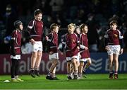 27 November 2021; Action from the Bank of Ireland Half-Time Minis between Ardee RFC and Roscrea RFC at the United Rugby Championship match between Leinster and Ulster at the RDS Arena in Dublin. Photo by Piaras Ó Mídheach/Sportsfile